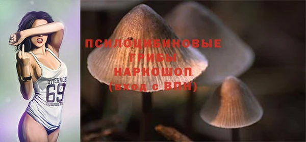 прущий лед Бронницы
