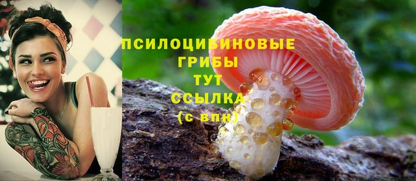 ALPHA-PVP Бородино