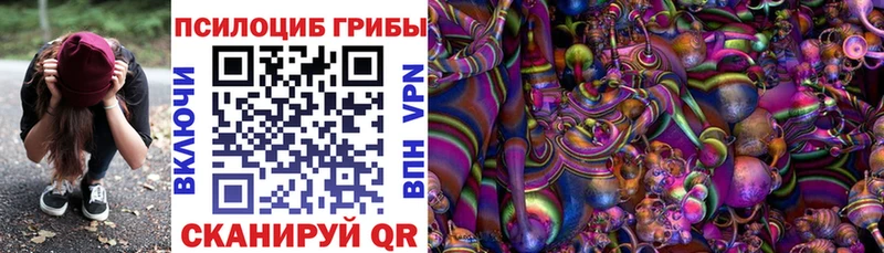 магазин продажи наркотиков blacksprut зеркало Галлюциногенные грибы прущие грибы Гусев