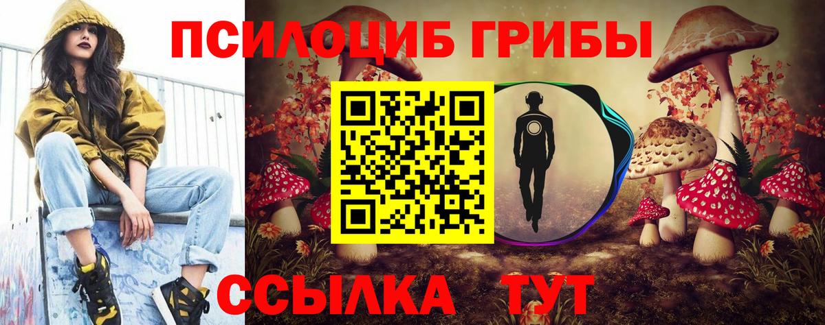 Гусев  Псилоцибиновые грибы Cubensis  Вход с VPN  где купить наркоту  Псилоцибиновые грибы MAGIC MUSHROOMS 