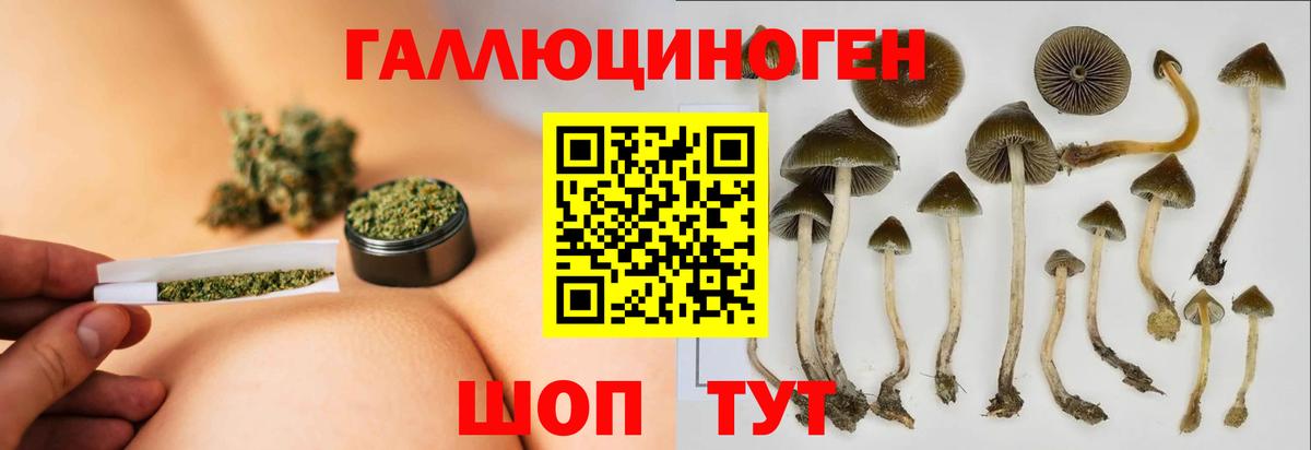 A-PVP Гусев