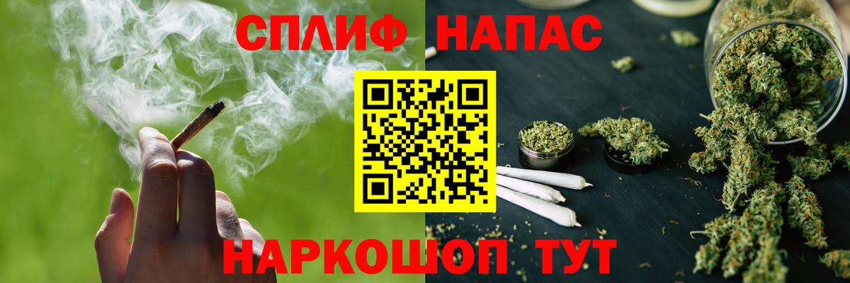 Бошки Шишки сатива Гусев